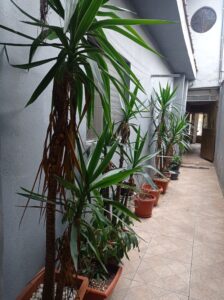 IMG_20230902_133520